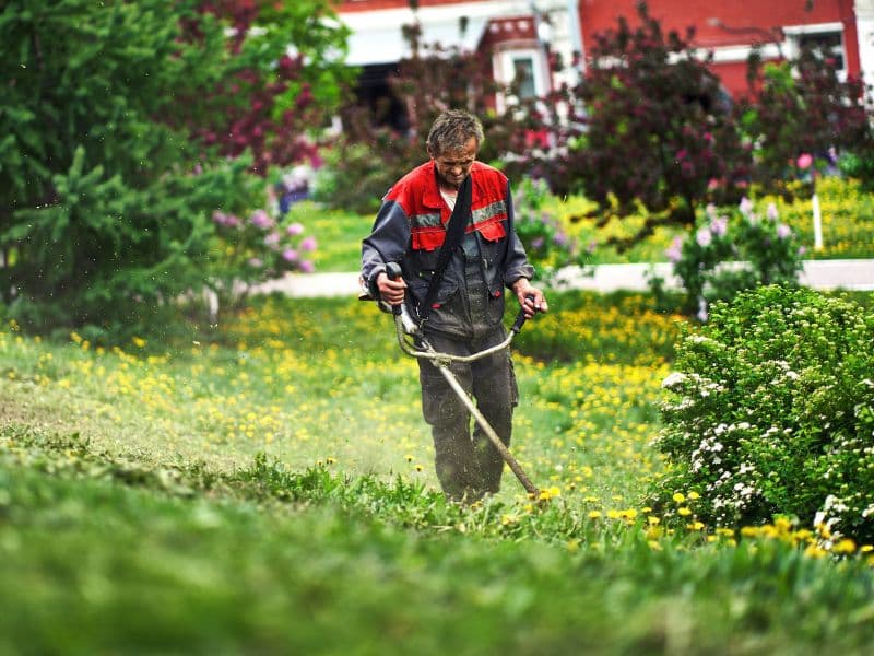 Greenform Landscaping founder planning a project at a residential property