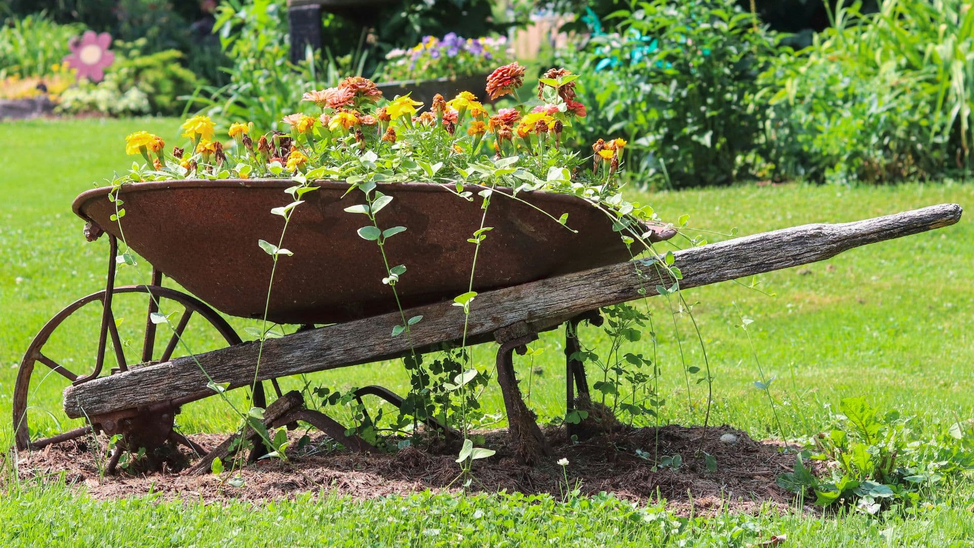 Beautifully landscaped backyard with stone patio at golden hour