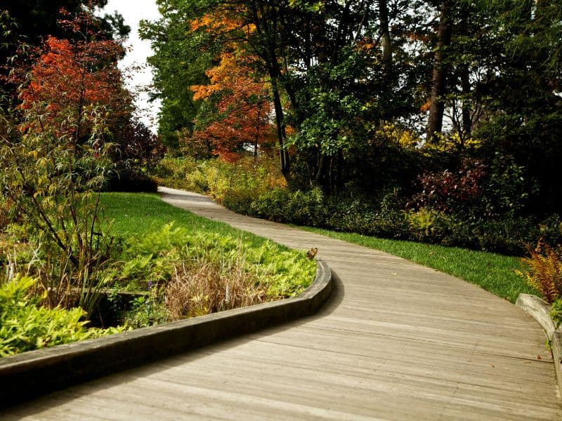 Custom landscape design plan with garden layout