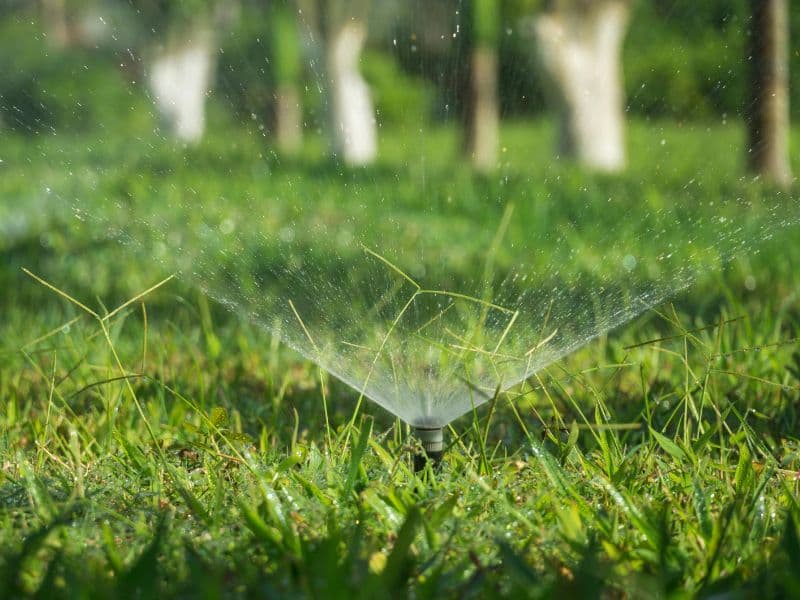 Sprinkler irrigation system watering a green lawn