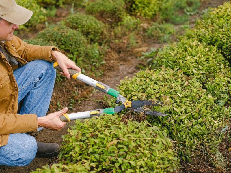 Irrigation system installation for large residential lawn