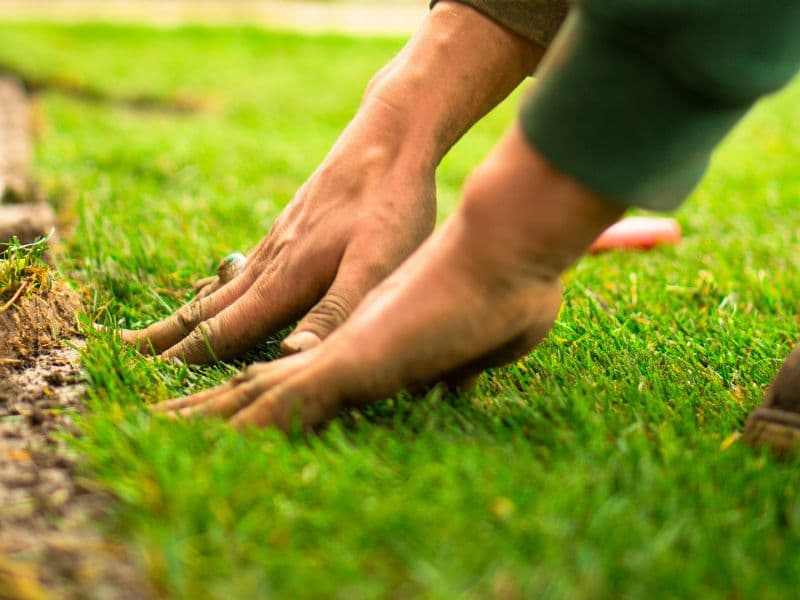 Completed residential landscaping project with patio and garden beds