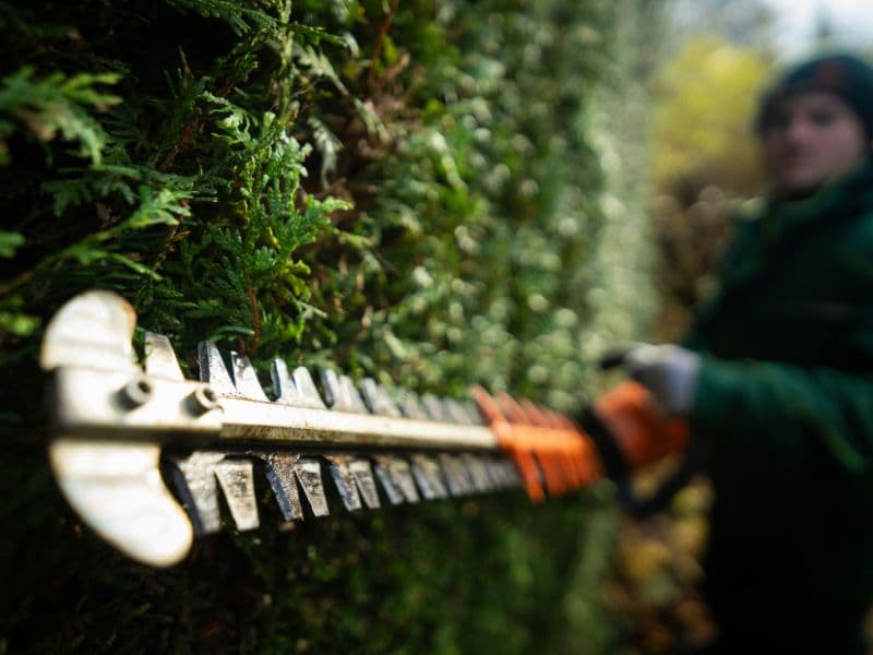 Custom stone walkway installation through front yard