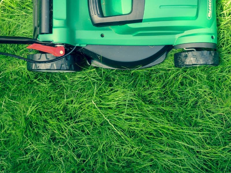 Commercial property grounds maintenance and seasonal planting